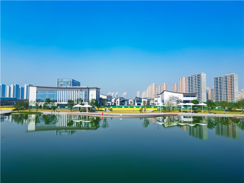 Main playback speaker