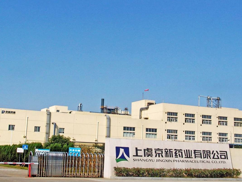 Main playback speaker