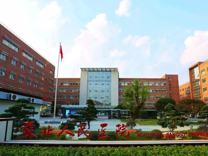 Main playback speaker