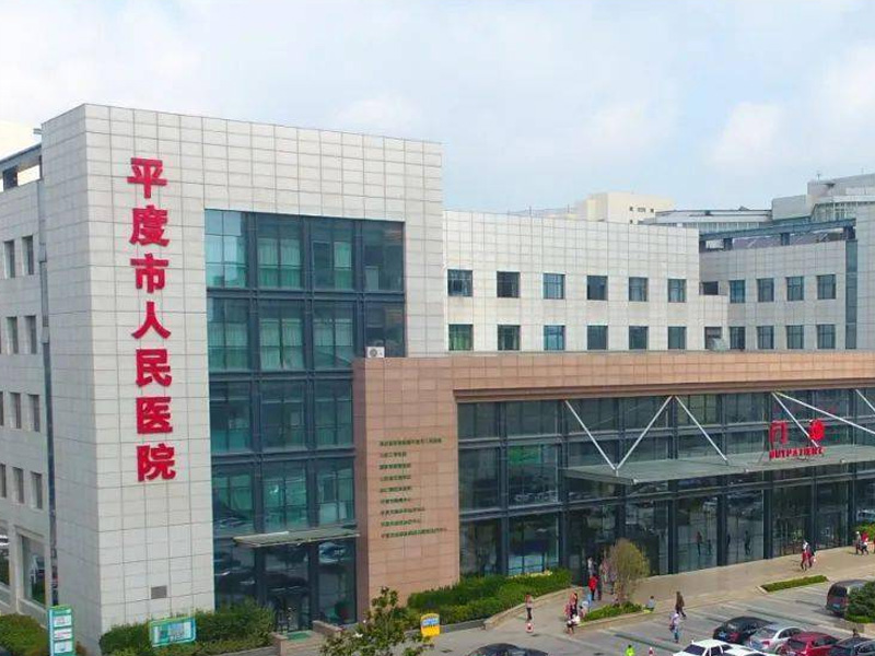 Main playback speaker