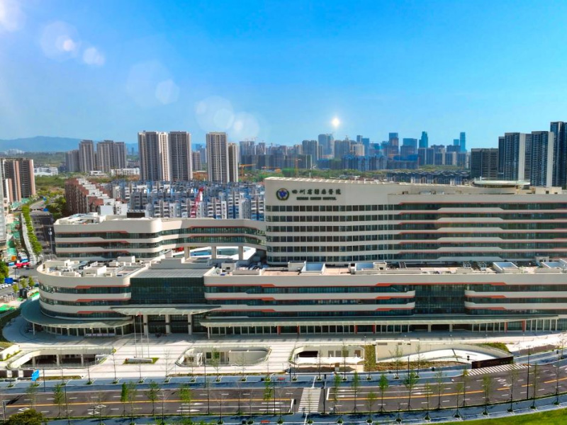 Main playback speaker