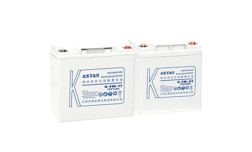 FM小型密封电池系列